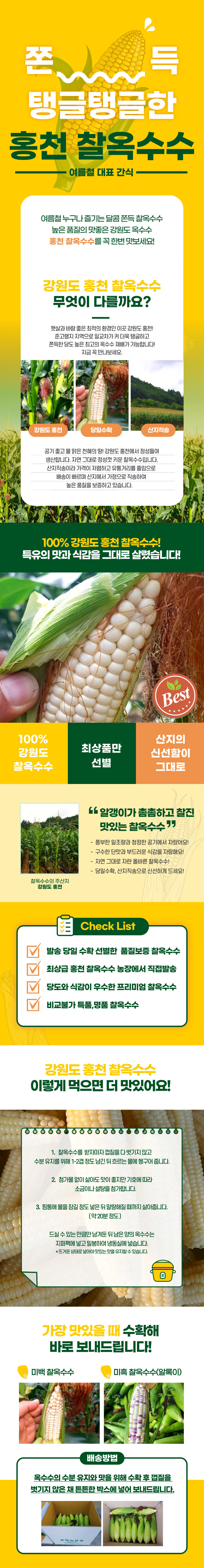 성원컴퍼니 홍천농산물 강원도 홍천 찐옥수수 당일수확 미백찰옥수수 알록이찰옥수수 찰옥수수 옥수수