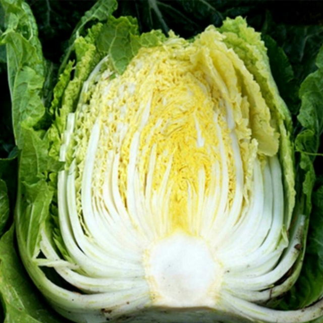 강원더몰,[라이브특가] 홍천결운 절임배추 20kg(7-9포기)