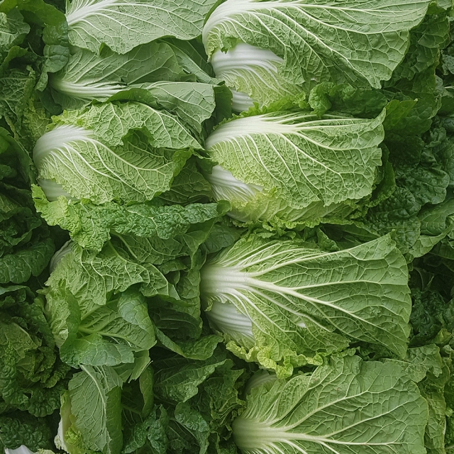 강원더몰,[라이브특가] 홍천결운 절임배추 20kg(7-9포기)